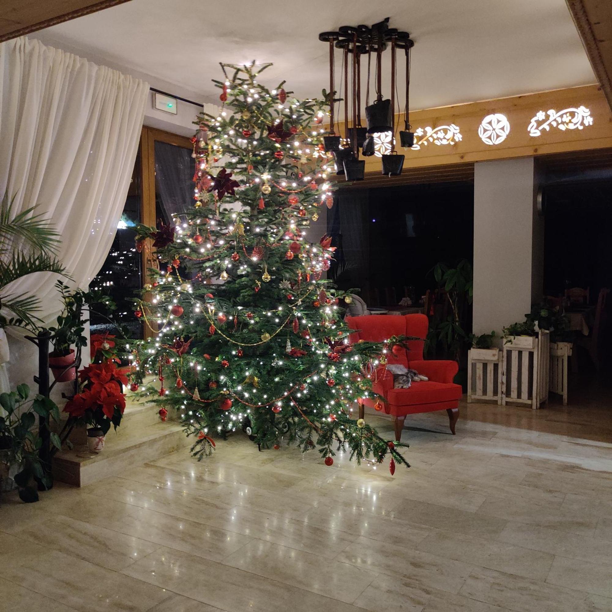 Eco Willa Karpatia Ski&Wellness Murzasichle Extérieur photo