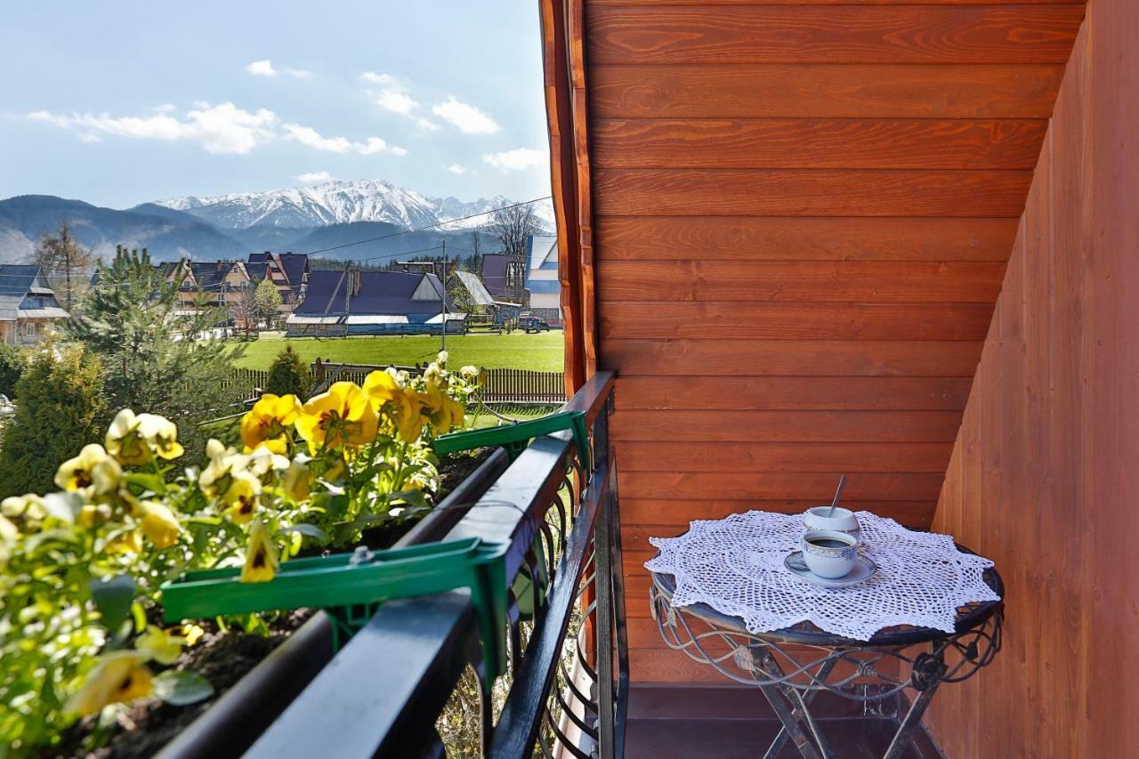 Eco Willa Karpatia Ski&Wellness Murzasichle Extérieur photo
